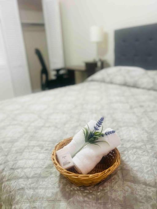 Вилла Vintage Family Scape + Heated Pool&Discount Тампа Экстерьер фото