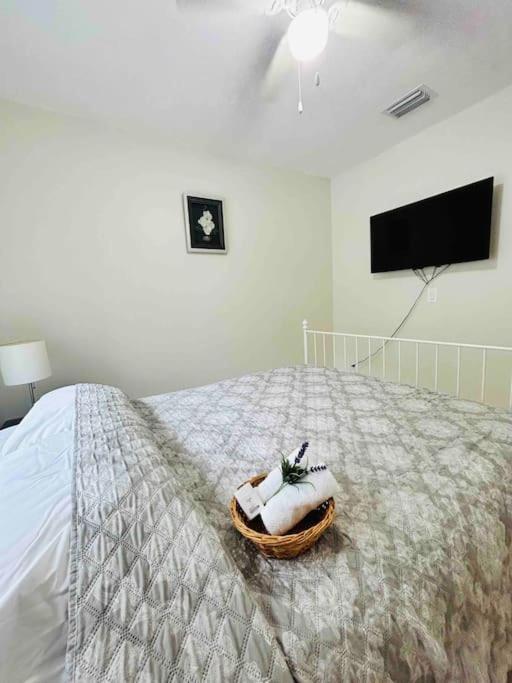 Вилла Vintage Family Scape + Heated Pool&Discount Тампа Экстерьер фото